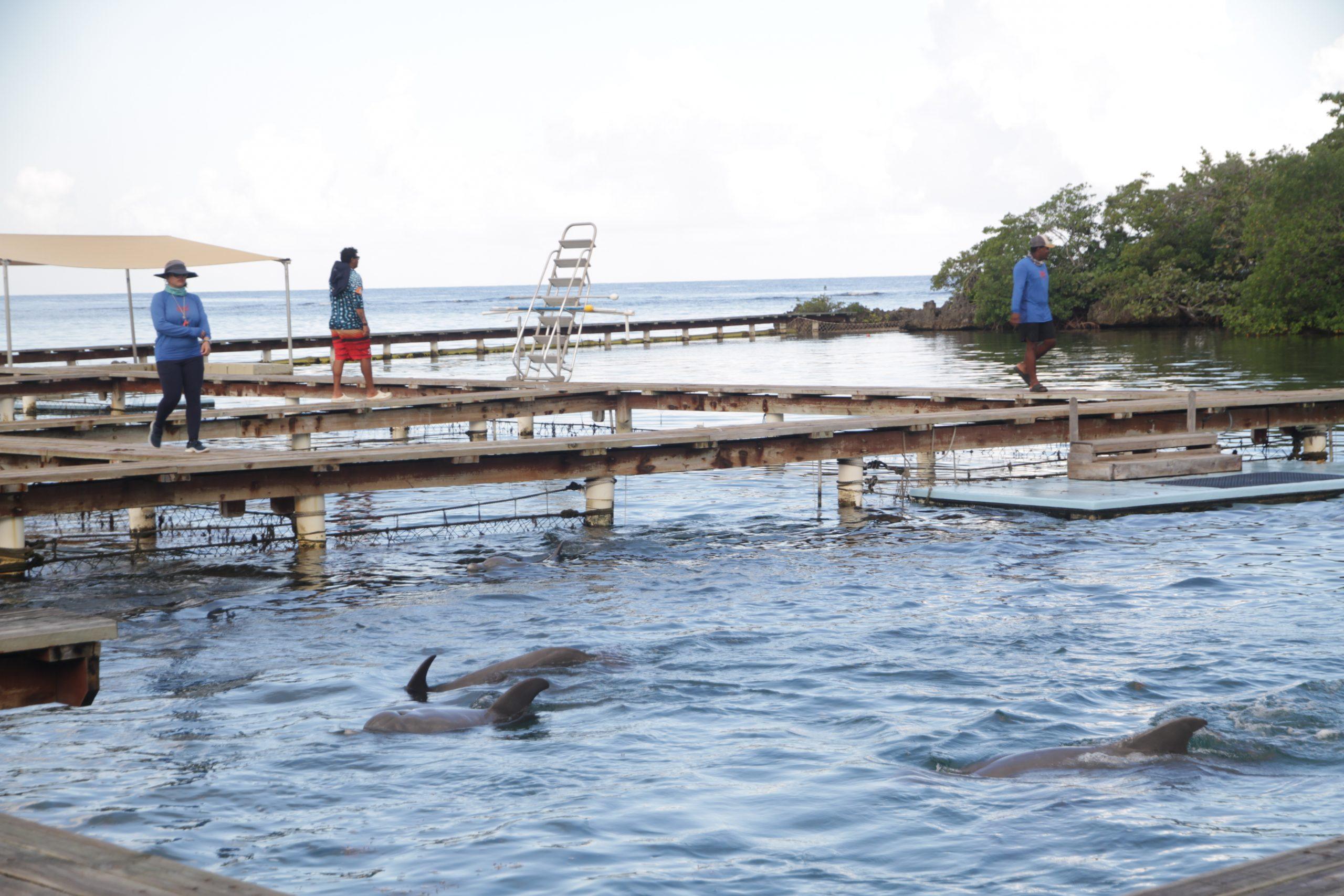 Rosales%20Tours%20Roatan