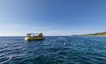 Glass Bottom Boat Tour