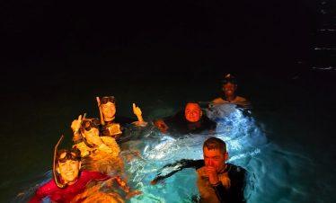 Night Snorkeling Tour